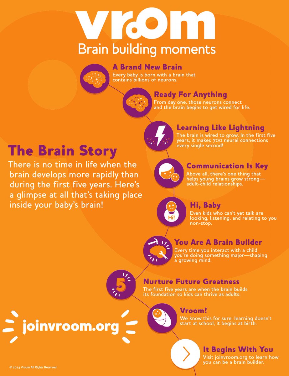 joinvroom's tweet photo. The brain develops most rapidly during the first 5 years of life. Take a glimpse at all that’s going on inside your baby’s brain! #VroomTip https://t.co/ksti8GFH8w