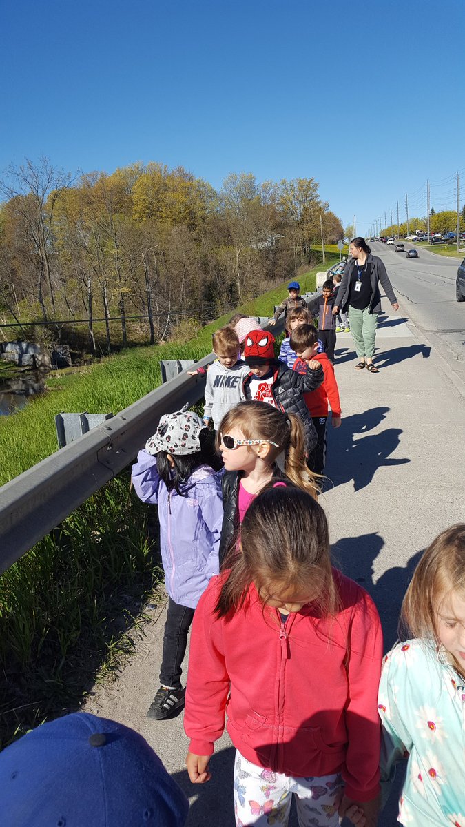 DuttonandRebelo's tweet photo. Walking to the library today and what a beautiful day it is! @WillowLandingES https://t.co/kuGk9yj9Ls