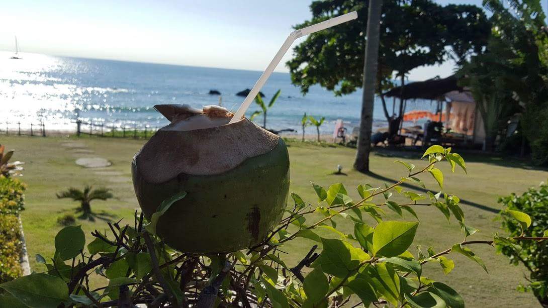 rawnutsuk's tweet photo. What a place to enjoy a Fresh Young Coconut. Overlooking the sea in Koh Lanta, Thailand #youngcoconuts #rawnutsuk #coconutwater #thailand https://t.co/CuWXZ0C22d