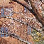 Photo by Hotel Santa Fe (@hotelsantafe)