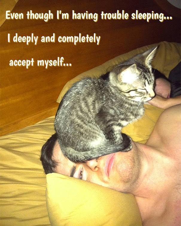 EFTUniverse's tweet image. #EFTproblems #accept