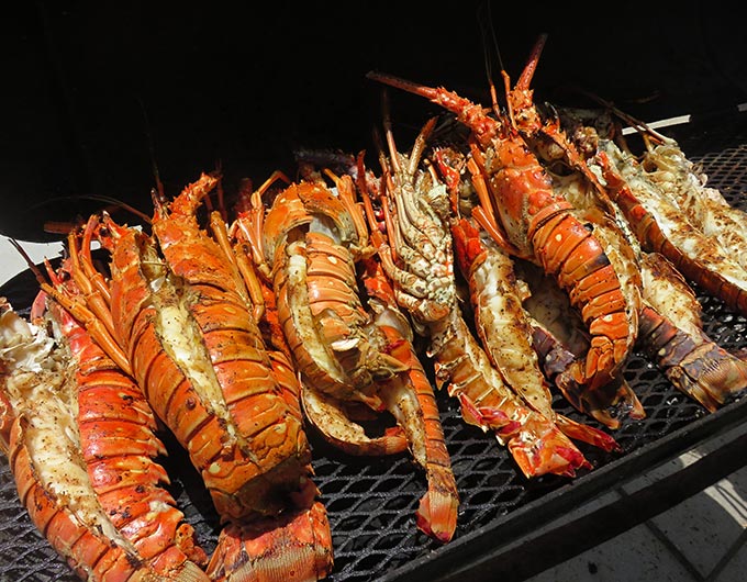 belizehub's tweet photo. Lobsterfest Kicks Off the Summer Season in Belize: https://t.co/hTWAK89dLy #Belize #BelizeLobsterfest #BelizeSummer #SummerinBelize https://t.co/Wl4LTlnk9L