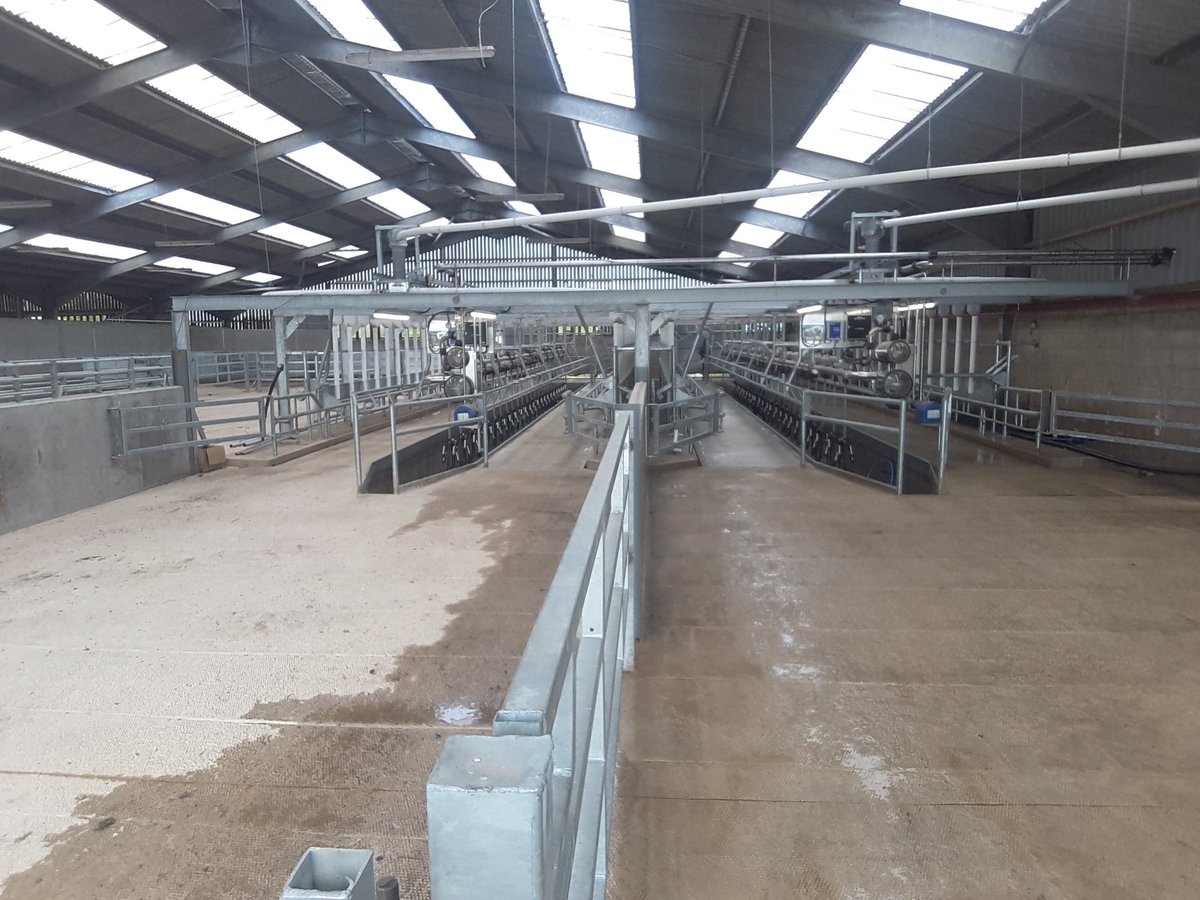 Evo_Farming's tweet photo. First milking done...470 cows in 60 minutes #awesome https://t.co/aaCa7TIelI