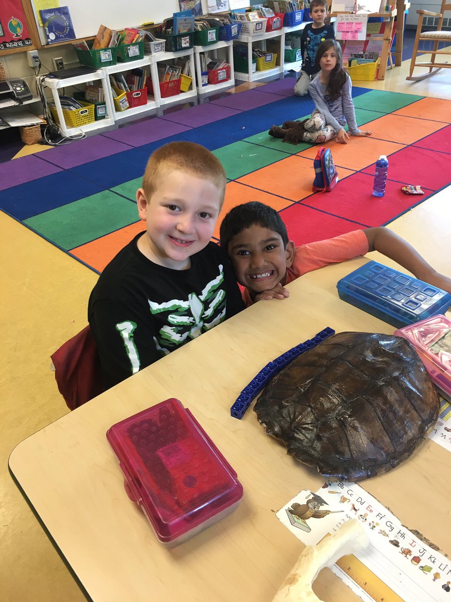 Mrs_Perrone's tweet photo. We are scientists measuring animal artifacts. 🔍 https://t.co/VKZeyGHWt0