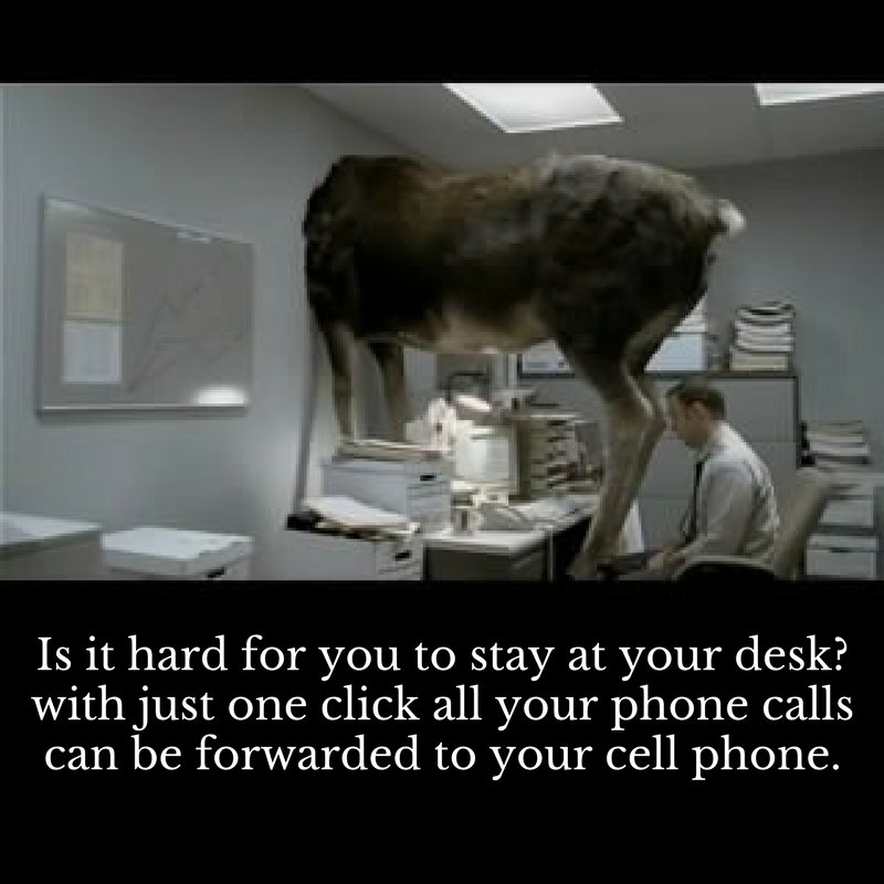 TelpeerNetworks's tweet image. Is it hard for you to stay at your desk? with just one click all your #phone #calls can be #forwarded to your #cellphone.