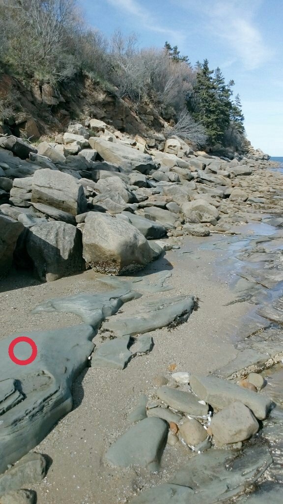 draw_us_all's tweet photo. "Smooth Surface." @GreyCollector https://t.co/nqjhroEa8d