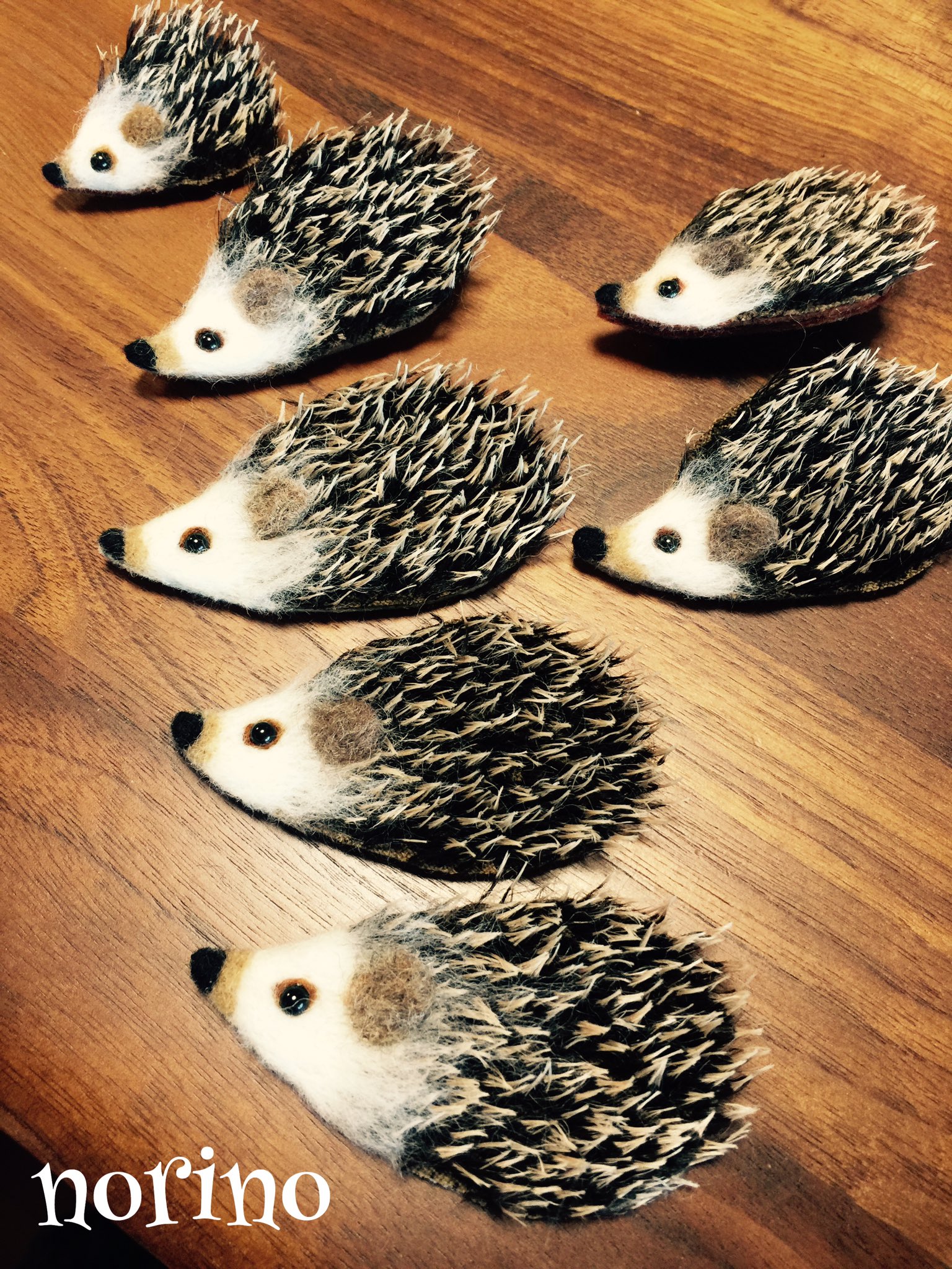 新中野 Gallery Miwa ハリネズミブローチ 羊毛刺しゅうのカエルの王様 猫の顔ブローチもオープン展示で販売予定です まだもう少し作る予定です 羊毛フェルト 羊毛刺しゅう ハリネズミ カエル 猫 T Co Nfoskwalfl Twitter