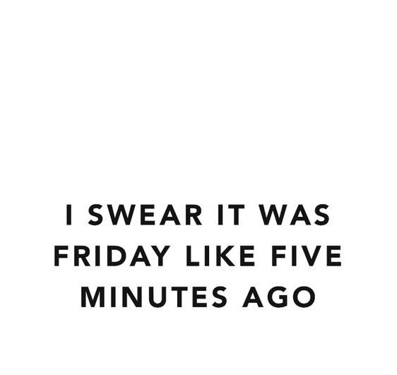 social_studio's tweet photo. Wait, what? It's Monday? Ok, let's do this! 💪 https://t.co/7PYakZbtZ1