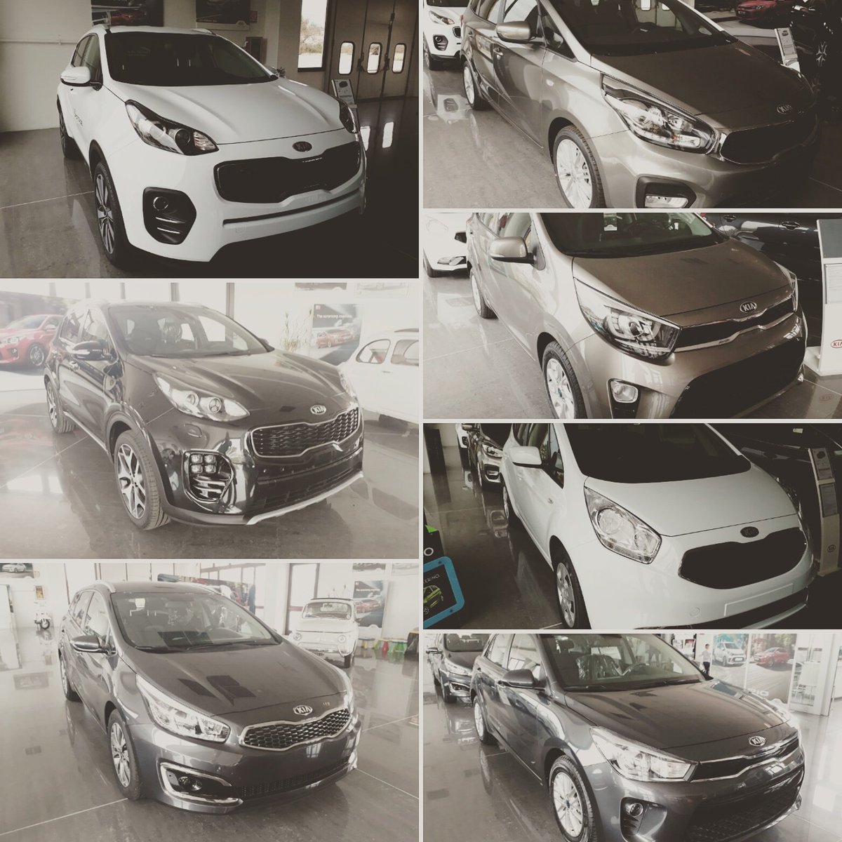 autousate_click's tweet photo. Tutta la gamma #KIA disponibile da Tutto Ruote Srl in Via Circonvallazione  a Tuglie #kiareporter  @KiaItalia https://t.co/ny4HDBSeoY