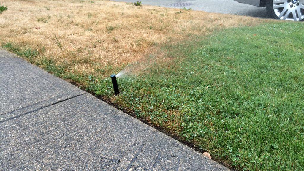 CityNewsVAN's tweet photo. HEADS UP! @MetroVancouver water restrictions are in place as of today https://t.co/lv1ZcWfq1b https://t.co/z1WGKlaTxg