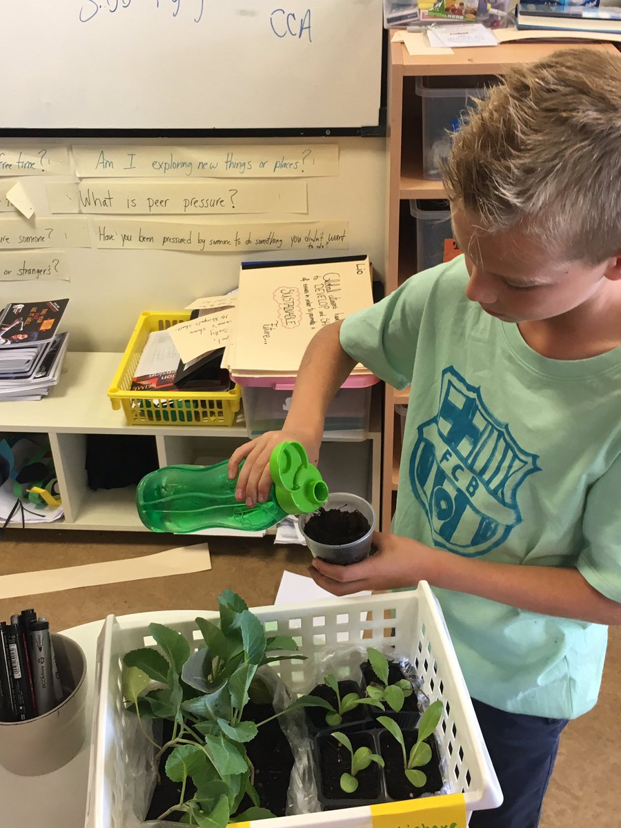 RempelMr's tweet photo. Thanks to #iicsexhibition for teaching us about #composting!  Let's hooe these plants grow! :) @IICS1911 https://t.co/KKEXB8JGhN
