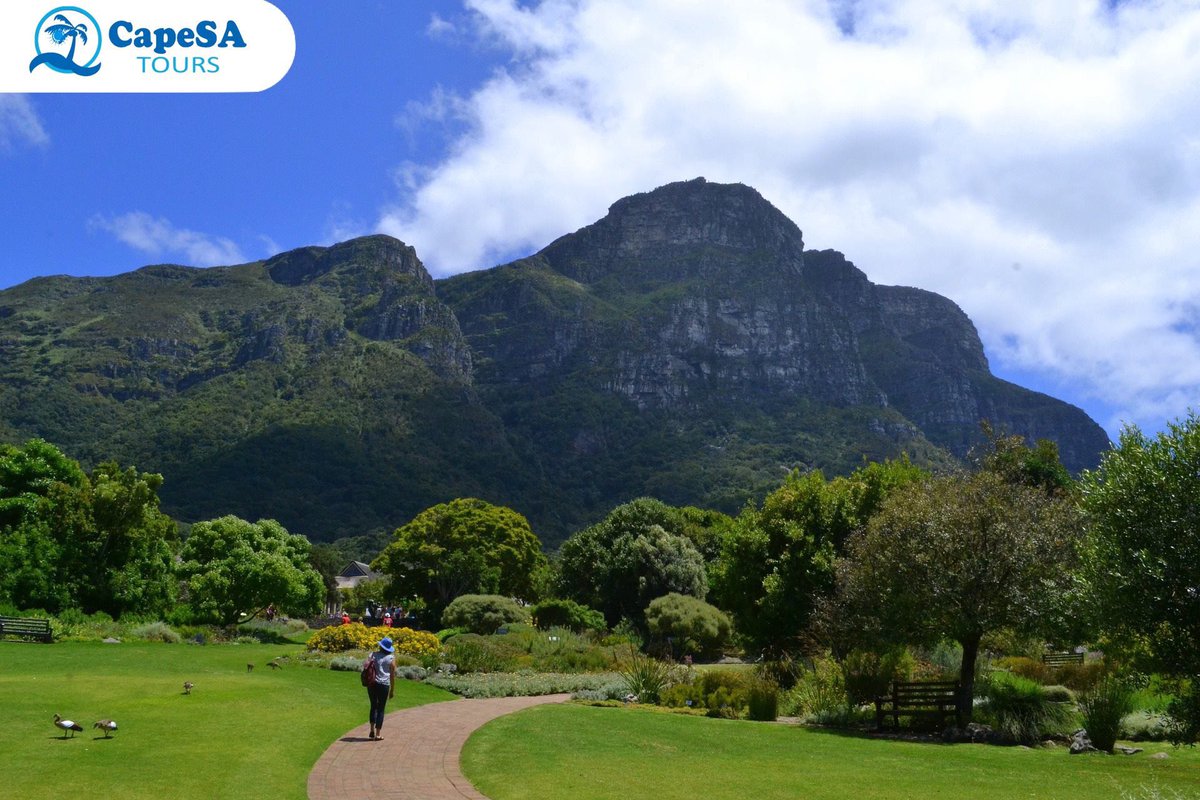 CapeSATours's tweet photo. Come and enjoy a beautiful day out and about in the Mother City with us #CapeSA https://t.co/ef94MqMxjw