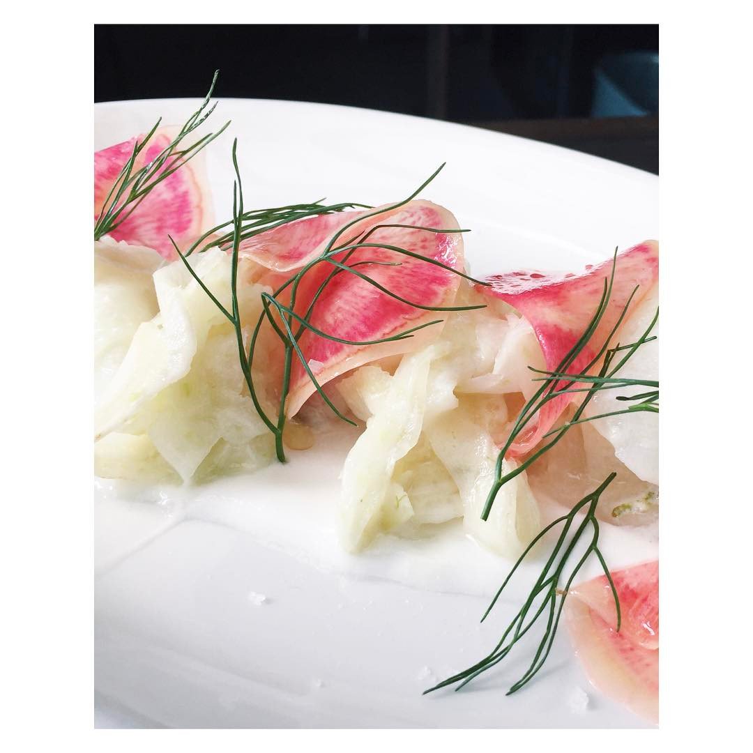 Salish Sea halibut #ceviche, coconut, radish, fennel. instagram.com/p/BUC1_-sFrLU/