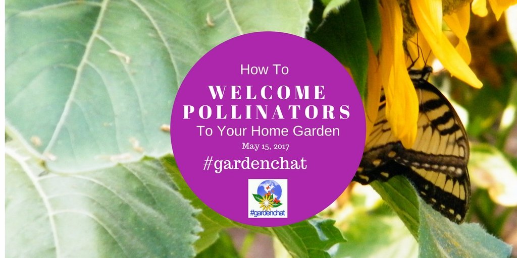 Welcome Pollinators To Your Garden |on GardenChat Twitter! sumo.ly/zZqR #gardenchat