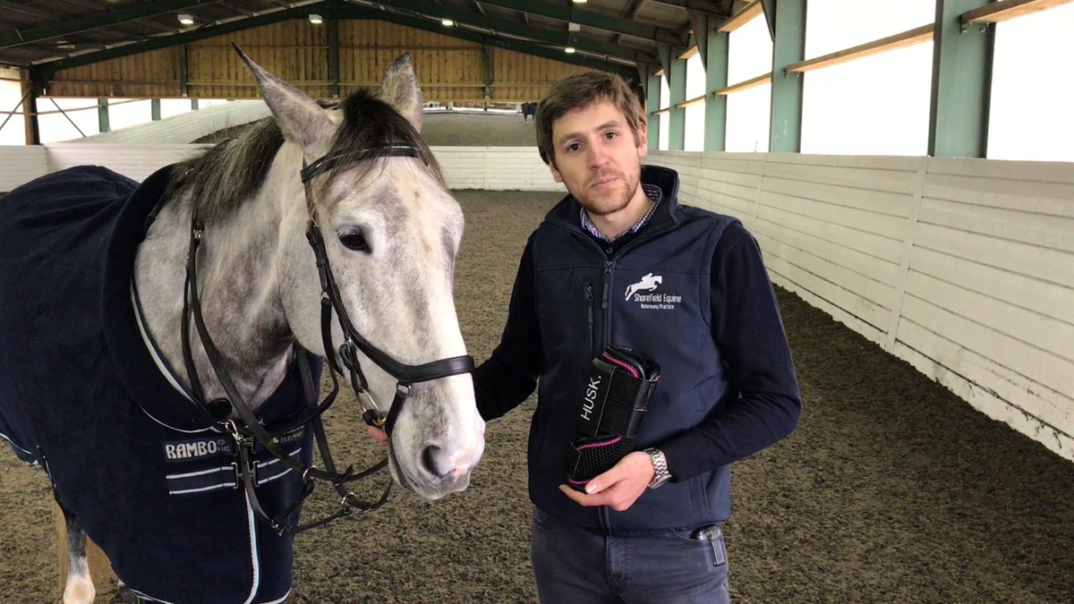 EquineHour's tweet photo. Read the latest articles on Equine Health by Lee Pritchard of @ShorefieldVets on our new #EquineHour Website https://t.co/dzUoQLG2Tf https://t.co/W11wxuF6Vg