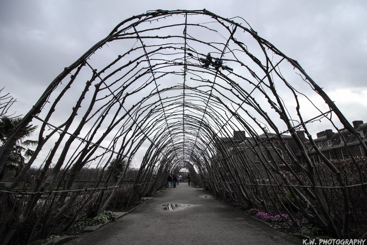 Kiwi Capture tweet media