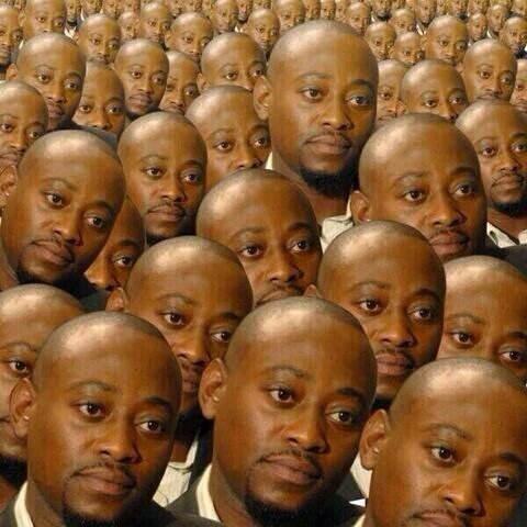 trying to spot the difference between @MopanieRES 's 2016 serrie and this year's #Serrie2017 like: