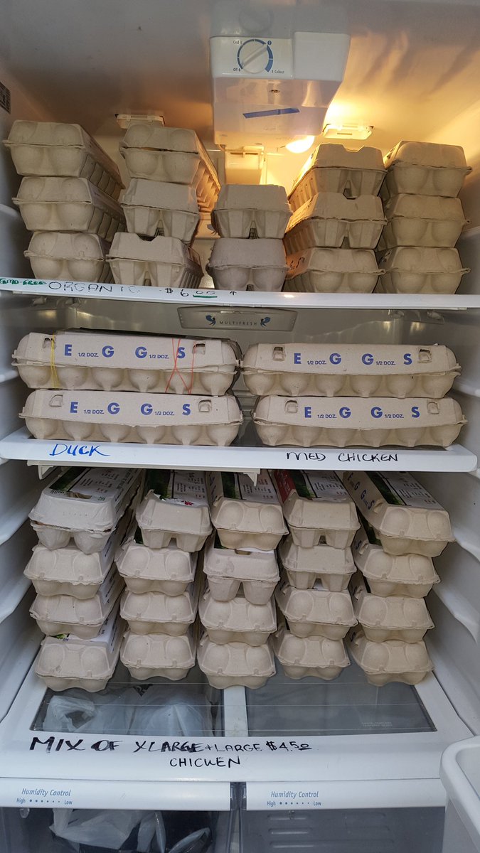 maplebayfarm's tweet photo. free run Duck + regular &amp; GMO-FREE chicken eggs are in the fridge so remember to stop by the farm to get yours today. https://t.co/pWUWg6TelD