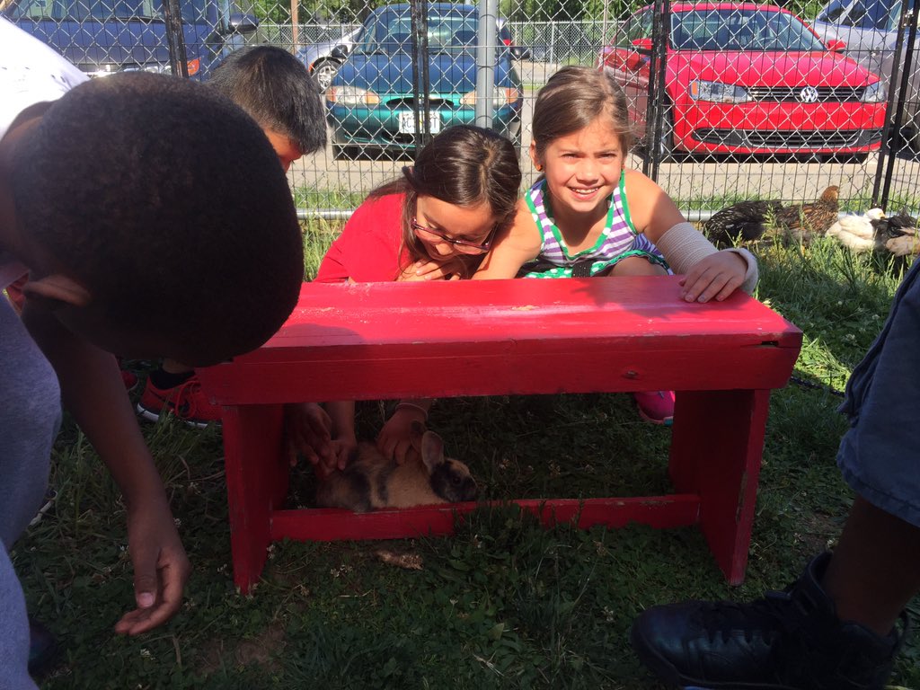 kimber_mca's tweet photo. Started our Boone Daze off right! The students loved the Petting Zoo this morning! #centersd @BooneBobcats https://t.co/bFqVOEb0gD