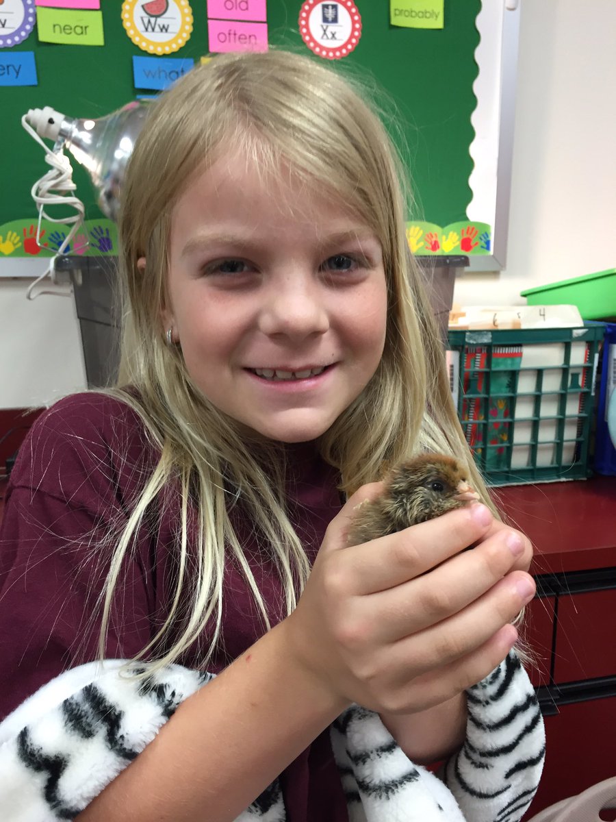 Sara Hernandez tweet media