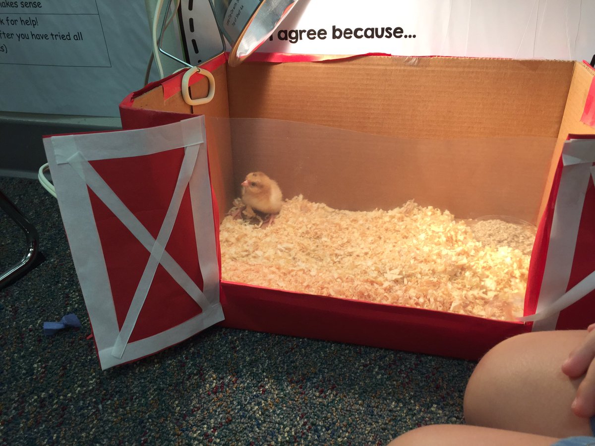 Sara Hernandez tweet media