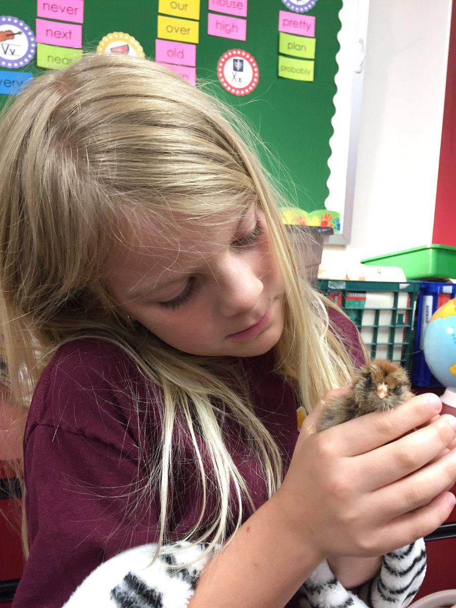 Sara Hernandez tweet media