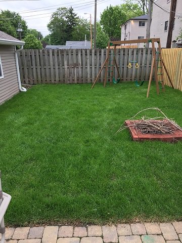 MasterPropSer's tweet image. Sod that our team installed a few weeks is doing really well with all the rain we've had!  masterpiececo.com