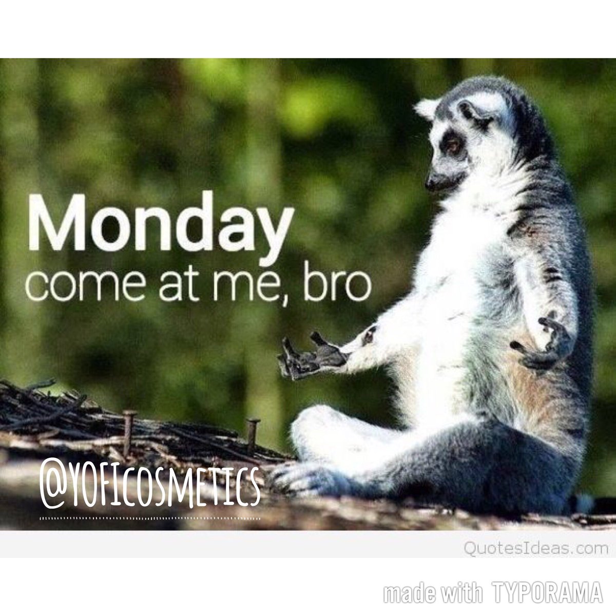 YOFI_Cosmetics's tweet photo. #Monday, come at me, bro 😊#mondays #mondaymotivation #motivation #funny https://t.co/yEeYKjRJh9