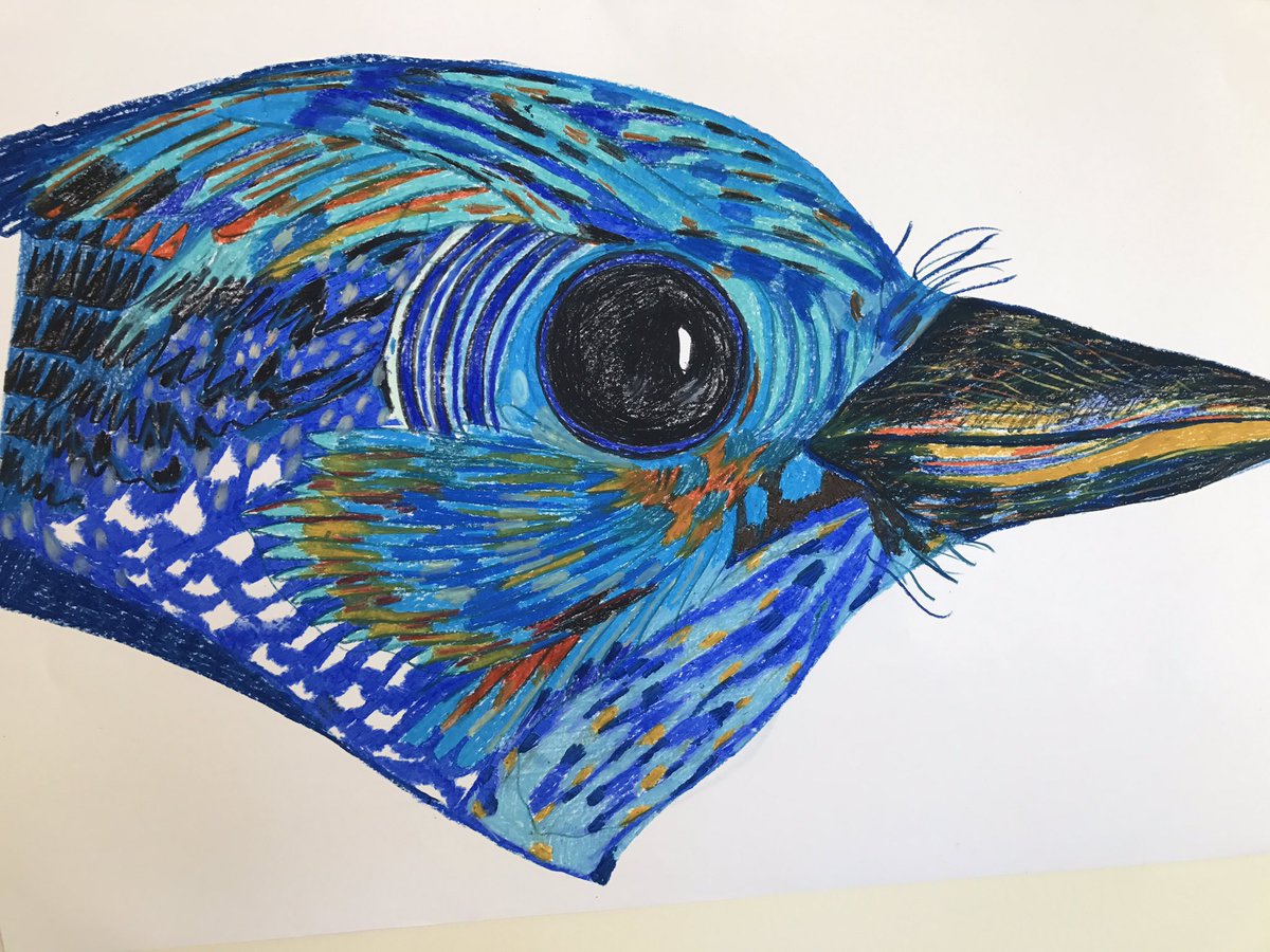 lewisginter's tweet photo. View fabulous bird drawings by artist Pallavi Sen the next time you visit (through June 7, 2017.) #rva #rvaart #rvagardentrail #vcuart https://t.co/VswfGyla03