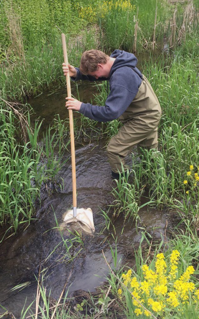 hp_snhs's tweet photo. enjoying a nice day of habitat assessment at Wallkill Wildlife Refuge!! @HPRwildcats @HighPointSTEM @JonTallamy https://t.co/fw6SX8uA1B