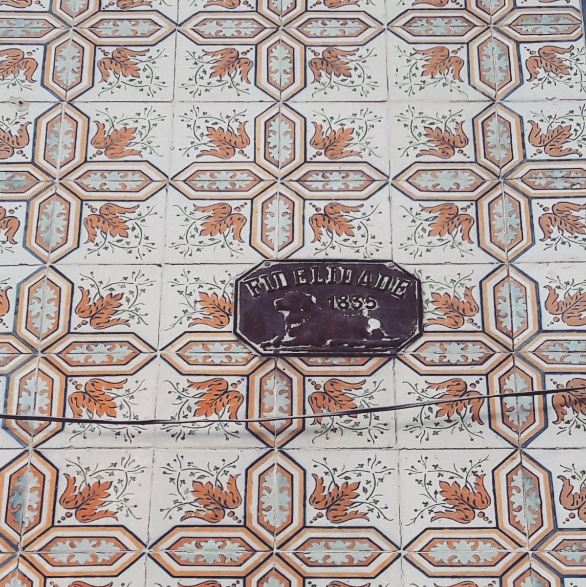 patriciamadeira's tweet photo. Tile Façade Detail. #tilefacade #azulejos #vintagesign #lisbon #lisbonwithpats https://t.co/SfiphYc7FH