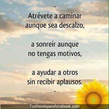 ElTransitar's tweet image. 