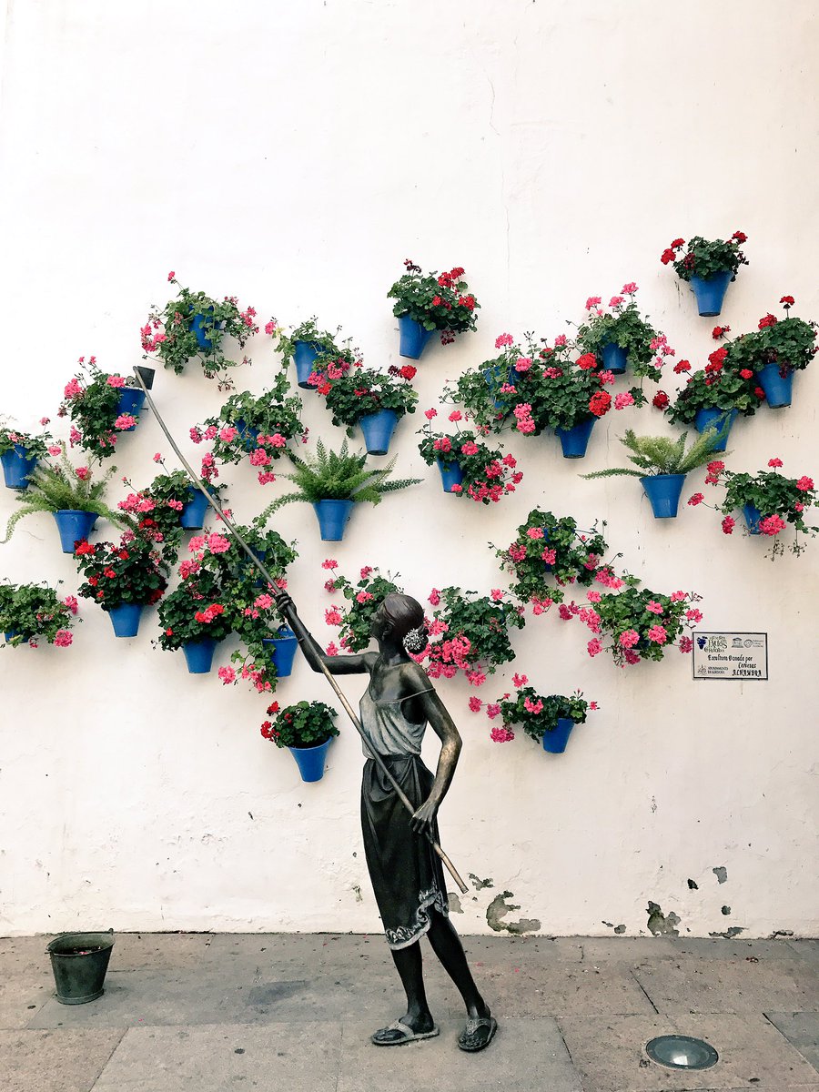 SitiosdeEspana's tweet photo. #Córdoba nunca dejará de sorprendernos y enamorarnos!! #ElParaísoEnCasa #irreSIXTibles @sixtespana https://t.co/iBkvuoRaq4