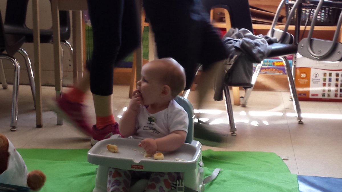 teamelson's tweet photo. Cupcakes &amp; goodbyes for all #rootsofempathy @TayShoresPS https://t.co/AFUNN6nOk0
