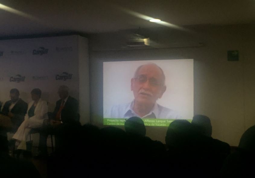 CIMMYT tweet media