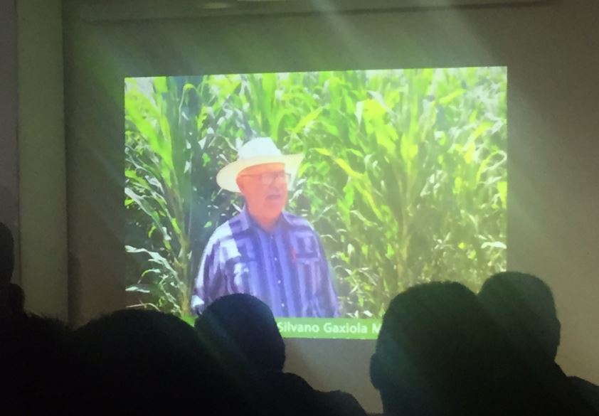 CIMMYT tweet media