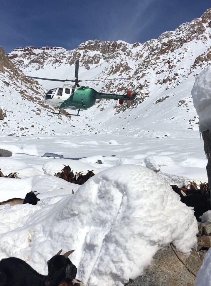 Senapred's tweet photo. . @Carabdechile , integrante del SNPC encuentra a arrieros extraviados en la cordillera de Monte Patria, región de Coquimbo. https://t.co/U88wp8DHoT