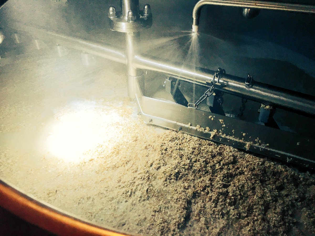 Witch's Hat Brewing 🦇 tweet media