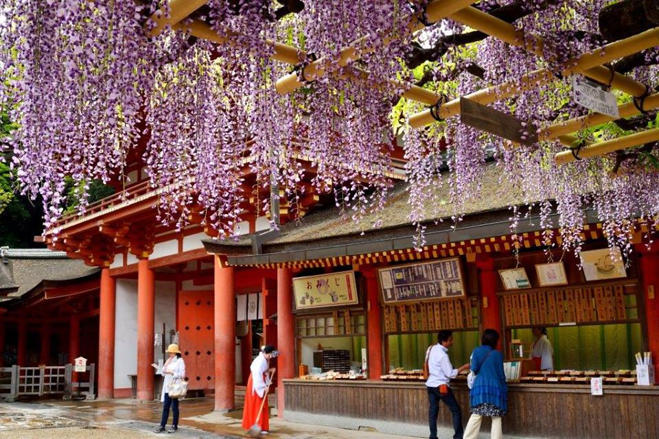 HÃ¬nh áº£nh cÃ³ liÃªn quan