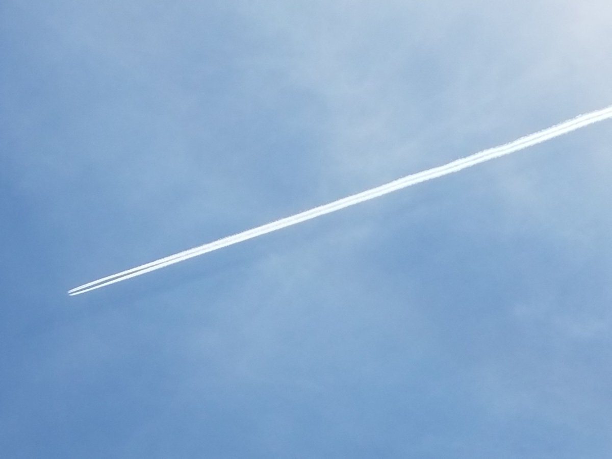 Phoenix999 tweet media