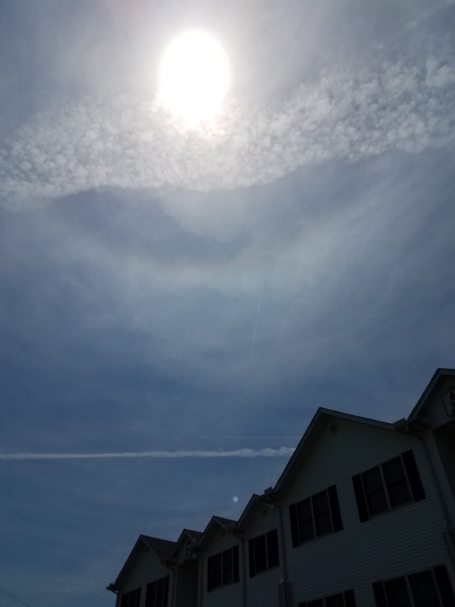 Phoenix999 tweet media