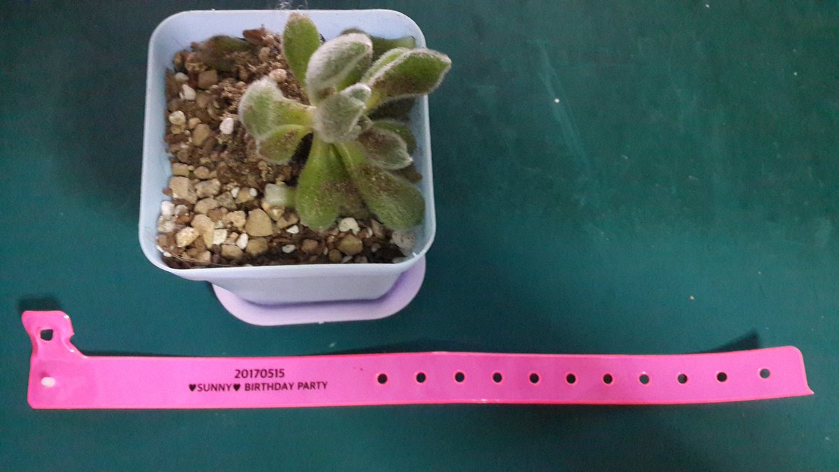 To. 탱티쉐태연 tweet media