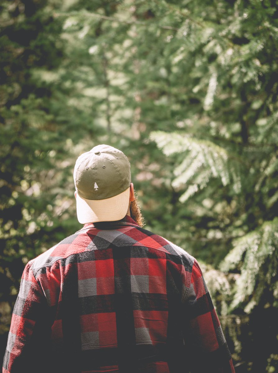 tinlidhatco's tweet photo. Almost 500 trees planted last month thanks to you guys! Cheers!! https://t.co/GZAzFw3cDu