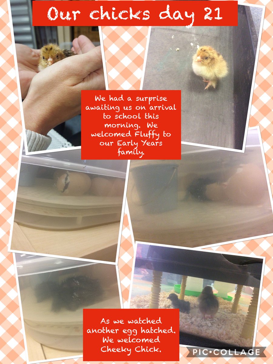 Exciting things have happened today! We welcomed 2 new starters into our EYFS family. #cuteandcuddly