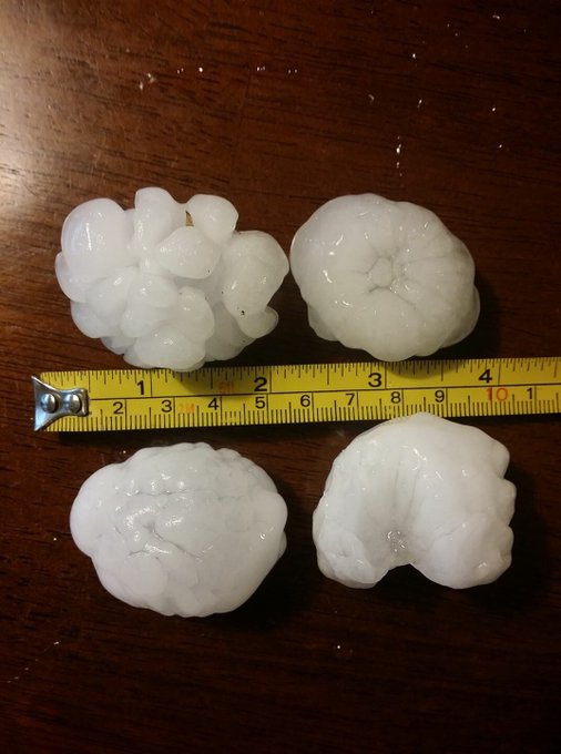 View image on Twitter