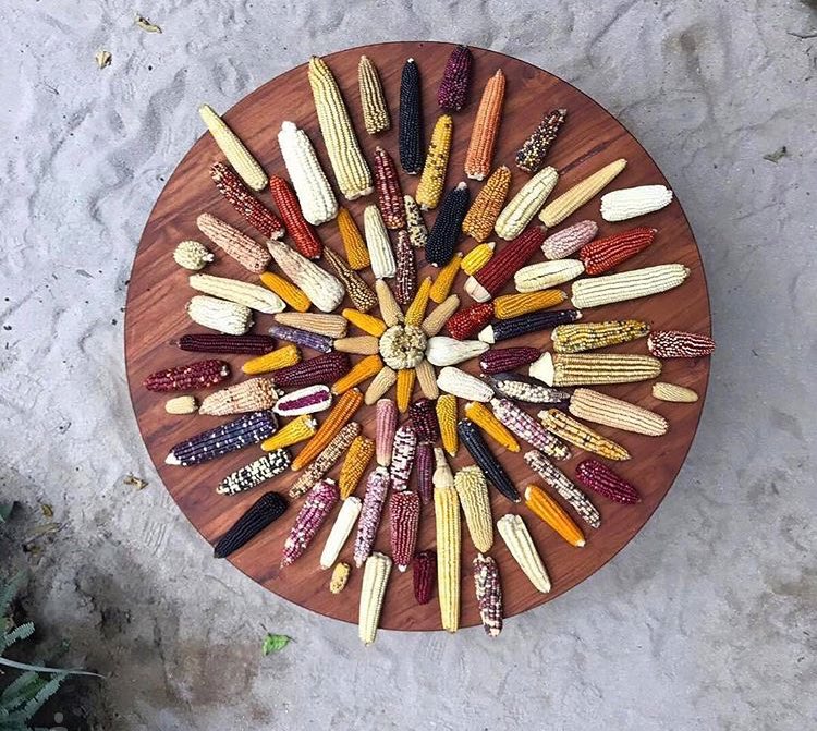 The behind the scenes "insider" story from the incredible team behind #NomaMexico #downloadnow #linkinbio