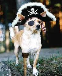 Dreamericatcher's tweet image. #MyPirateNameWouldBe Dreamercatchyarrrrs  ...