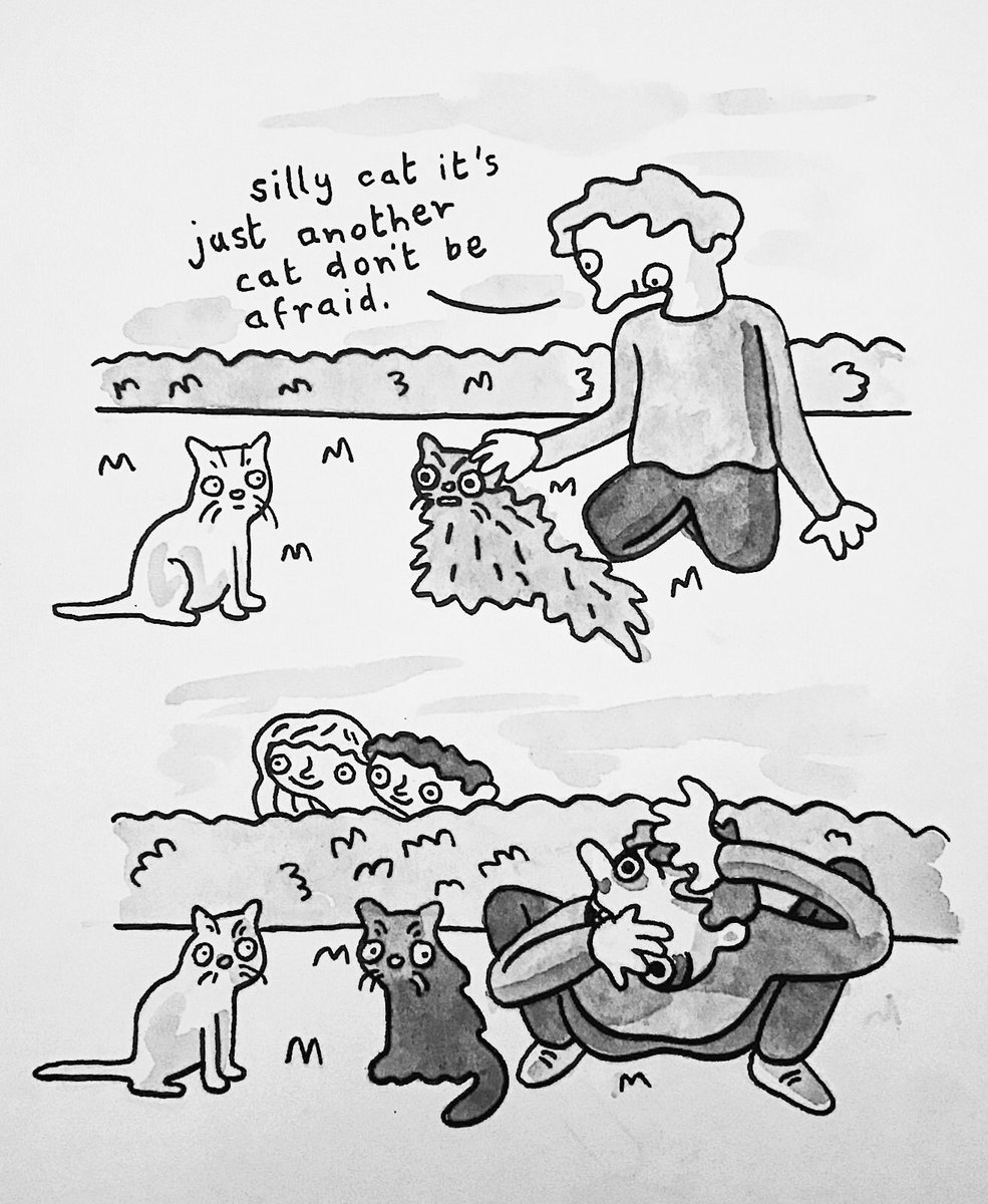 SWatercolour's tweet photo. silly cat https://t.co/cwkFXivhrE