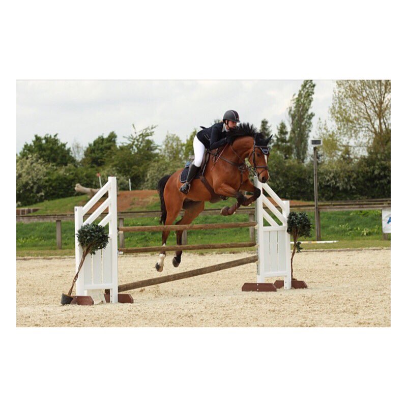 LauraReed26's tweet photo. 😍🚀🐴 https://t.co/VIHWV9Xpuj