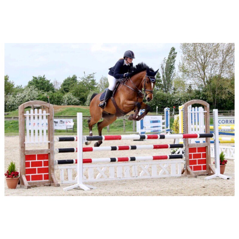 LauraReed26's tweet photo. 😍🚀🐴 https://t.co/VIHWV9Xpuj